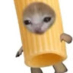 Meet your Posher, Benji